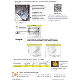 CONDOR Druckschalter MDR3/11 8-10bar mit Motorschutz 4-6,3A + Entlastungsventil