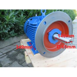 EMK Elektromotor Drehstrom 55kW 1500/min Welle 65mm 250M B35(Fuß+Flansch) IE3-KR