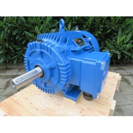 EMK Elektromotor Drehstrom 45kW 3000/min Welle 55mm 225M...