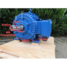 EMK Elektromotor Drehstrom 45kW 3000/min Welle 55mm 225M B3(Fuß) IE3-KR