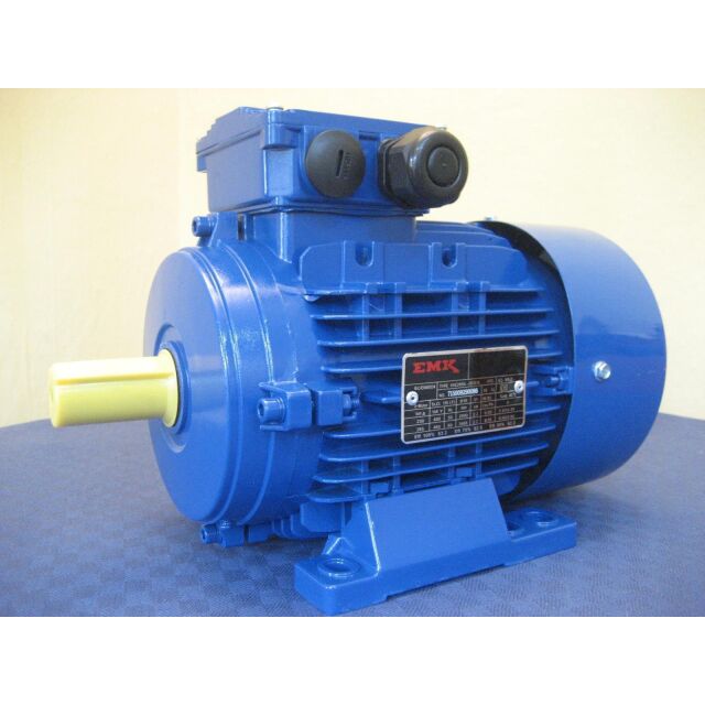 EMK Elektromotor Drehstrom 3kW 1000/min Welle 38mm 132S B3(Fuß) IE3