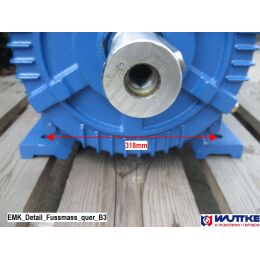EMK Elektromotor Drehstrom 30kW 3000/min Welle 55mm 200L B3(Fuß) IE3-KU