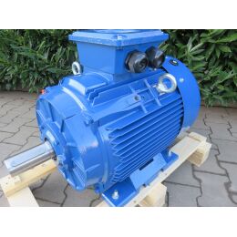 DWEMA Elektromotor Drehstrom 11kW 1500/min Welle 42mm...