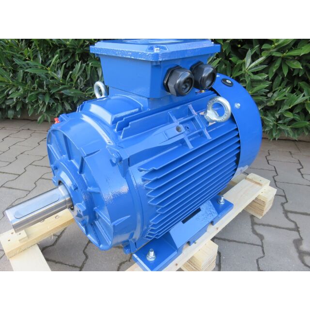 DWEMA Elektromotor Drehstrom 30kW 1500/min Welle 55mm 200L B3(Fuß) IE3