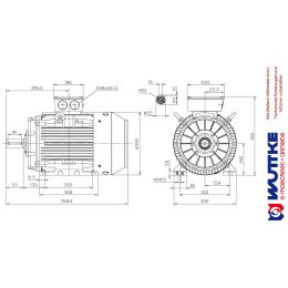DWEMA Elektromotor Drehstrom 30kW 3000/min Welle 55mm 200L B3(Fuß) IE3