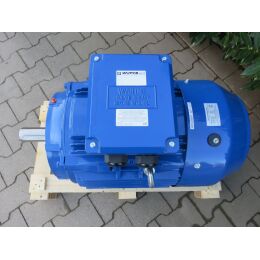 DWEMA Elektromotor Drehstrom 30kW 3000/min Welle 55mm 200L B3(Fuß) IE3