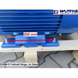 DWEMA Elektromotor Drehstrom 37kW 3000/min Welle 55mm 200L B3(Fuß) IE3
