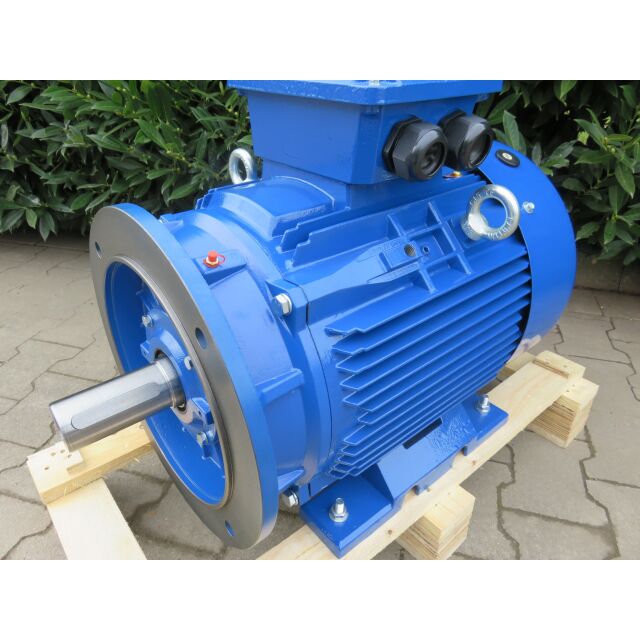 DWEMA Elektromotor Drehstrom 37kW 3000/min Welle 55mm 200L B35(Fuß+Flansch) IE3